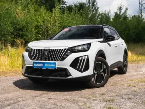 Peugeot 2008 II (2019-) 2024