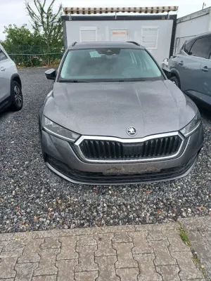 Skoda Octavia IV (2020-) 2.0 TDI Ambition DSG 2023