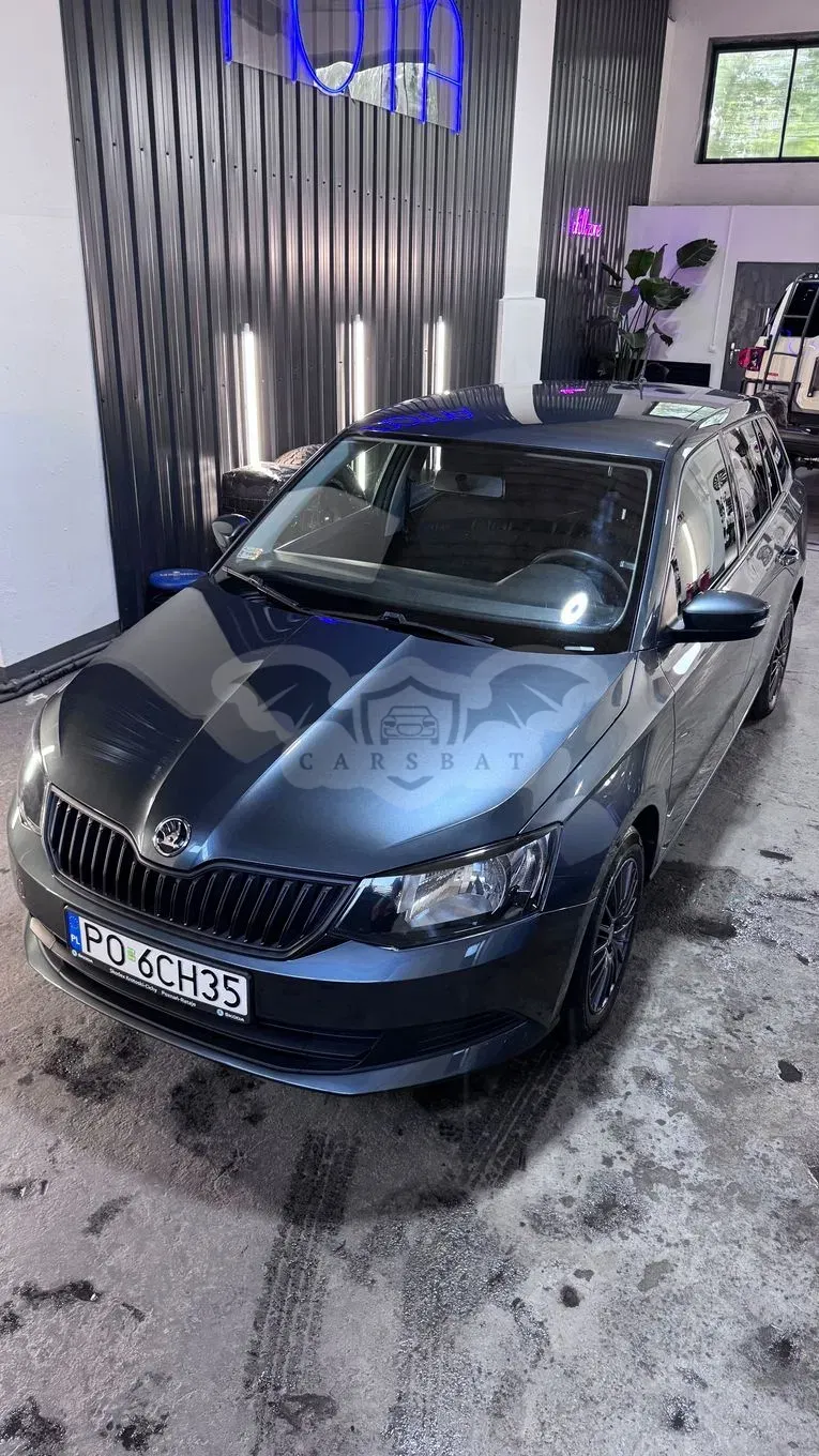 Skoda Fabia III (2014-2021) 2017