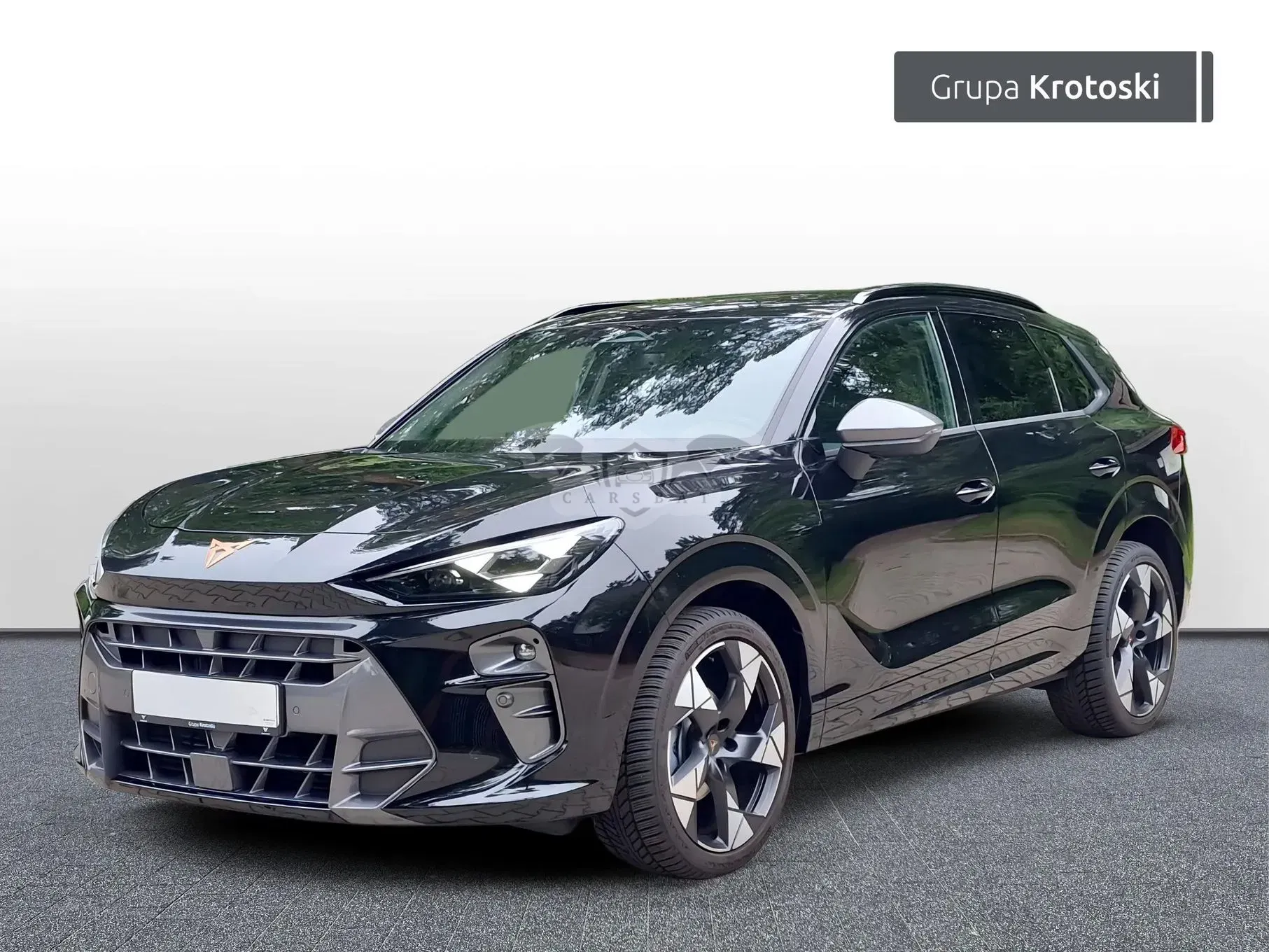 Cupra Terramar 1.5 eTSI mHEV Tribe Edition DSG 2025