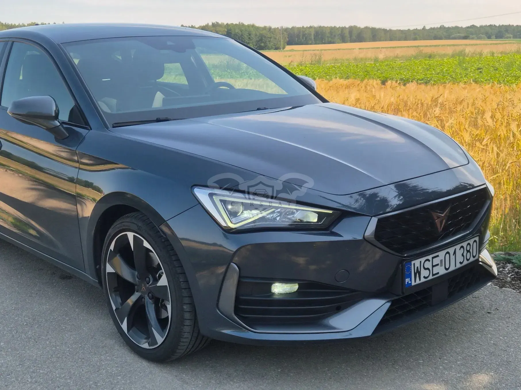 Cupra Leon 1.5 eTSI mHEV DSG 2024