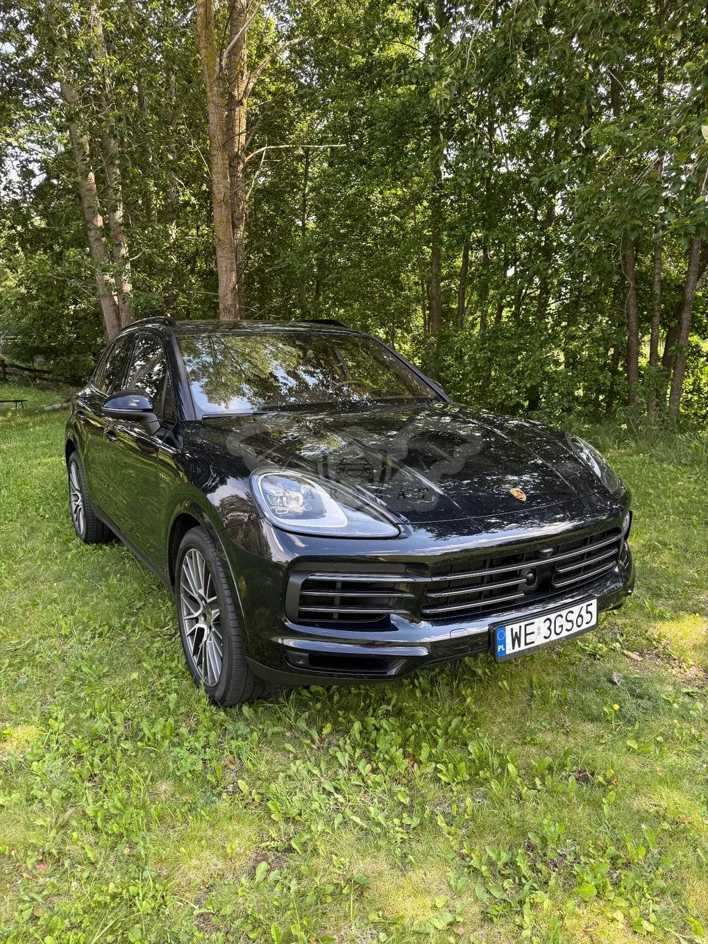 Porsche Cayenne III (2017-) E-Hybrid Platinum Edition 2023