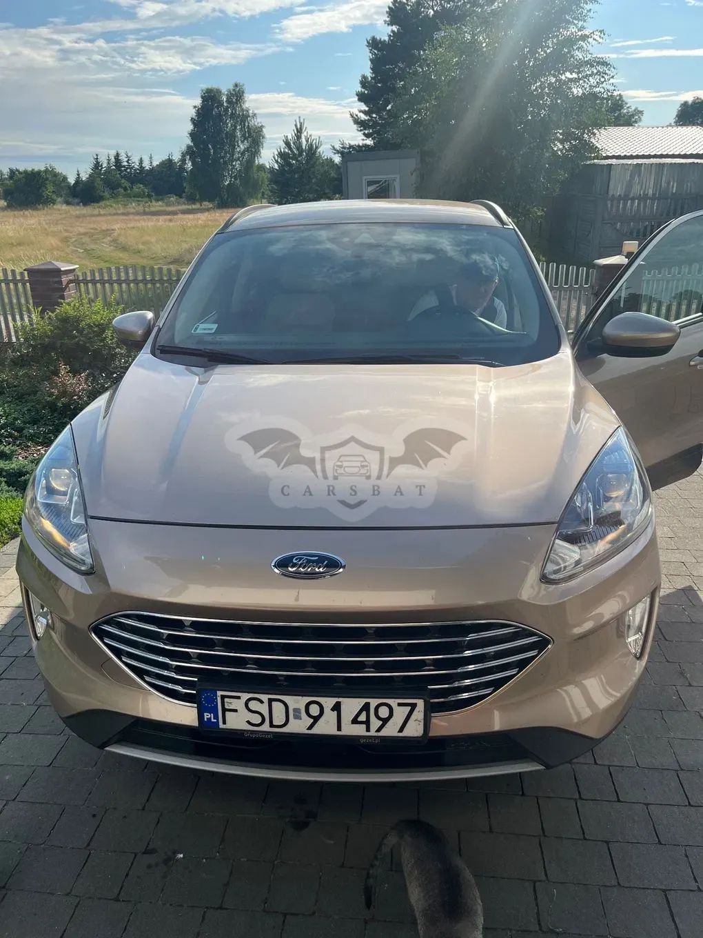 Ford Escape 2020