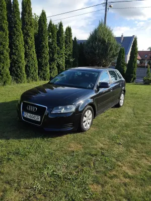 Audi A3 8P (2003-2012) 1.6 TDI DPF Ambition 2010