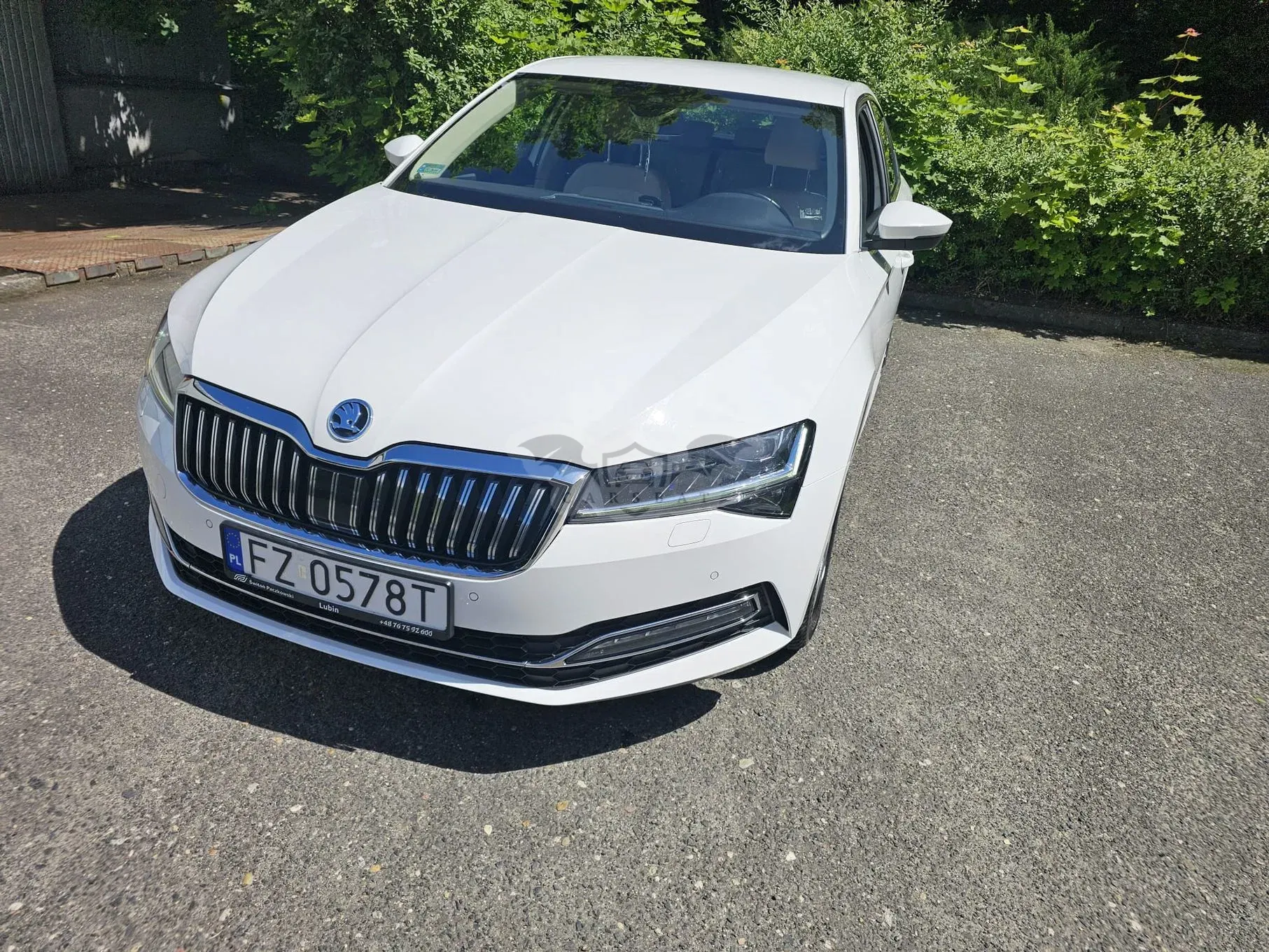 Skoda Superb III (2015-2023) 2.0 TDI SCR Style DSG 2019