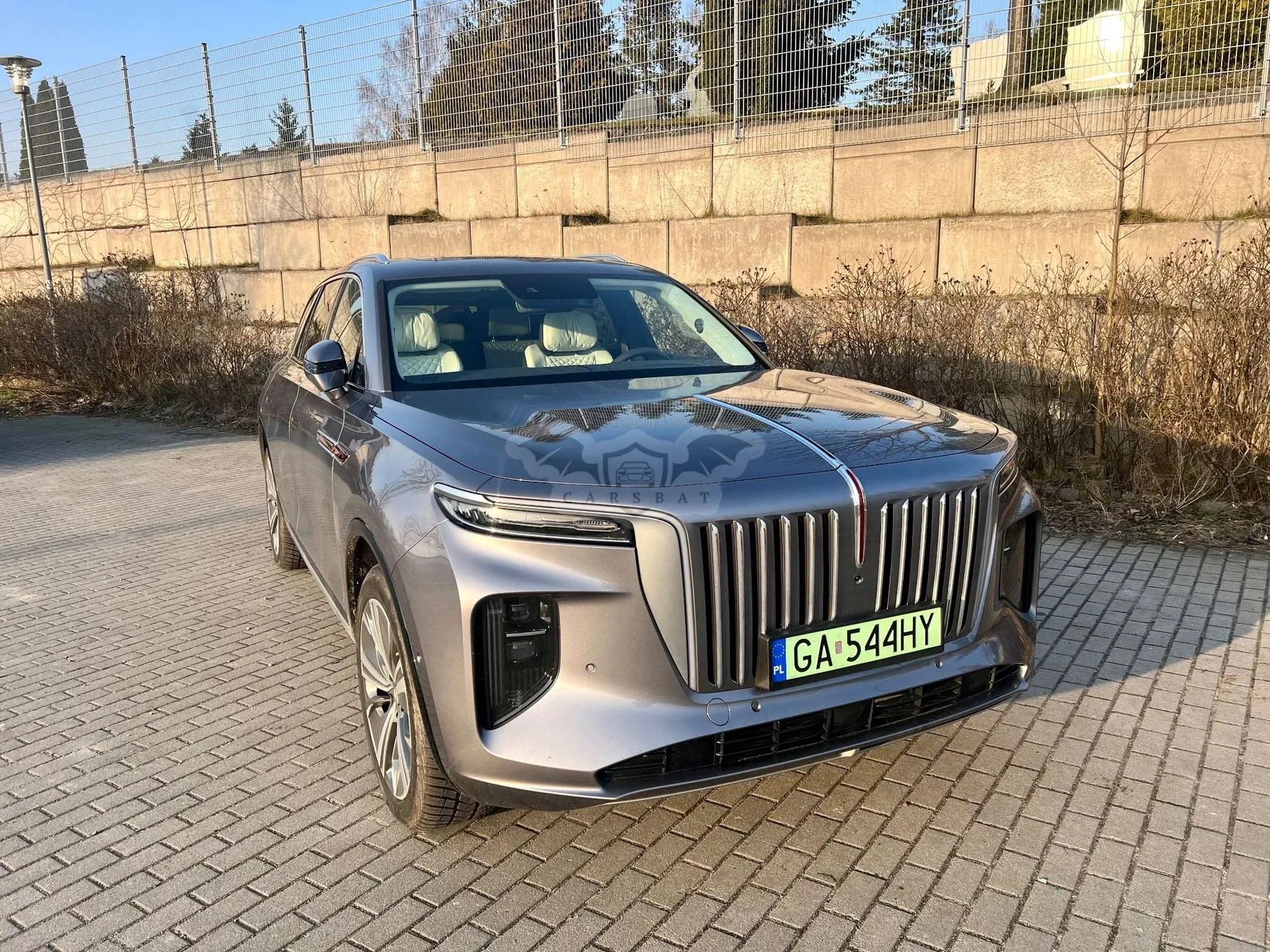 Hongqi E-HS9 2023