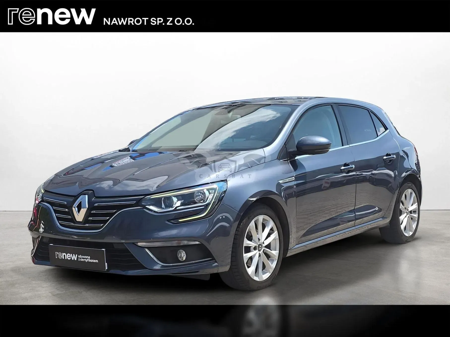 Renault Megane IV (2016-) 2019