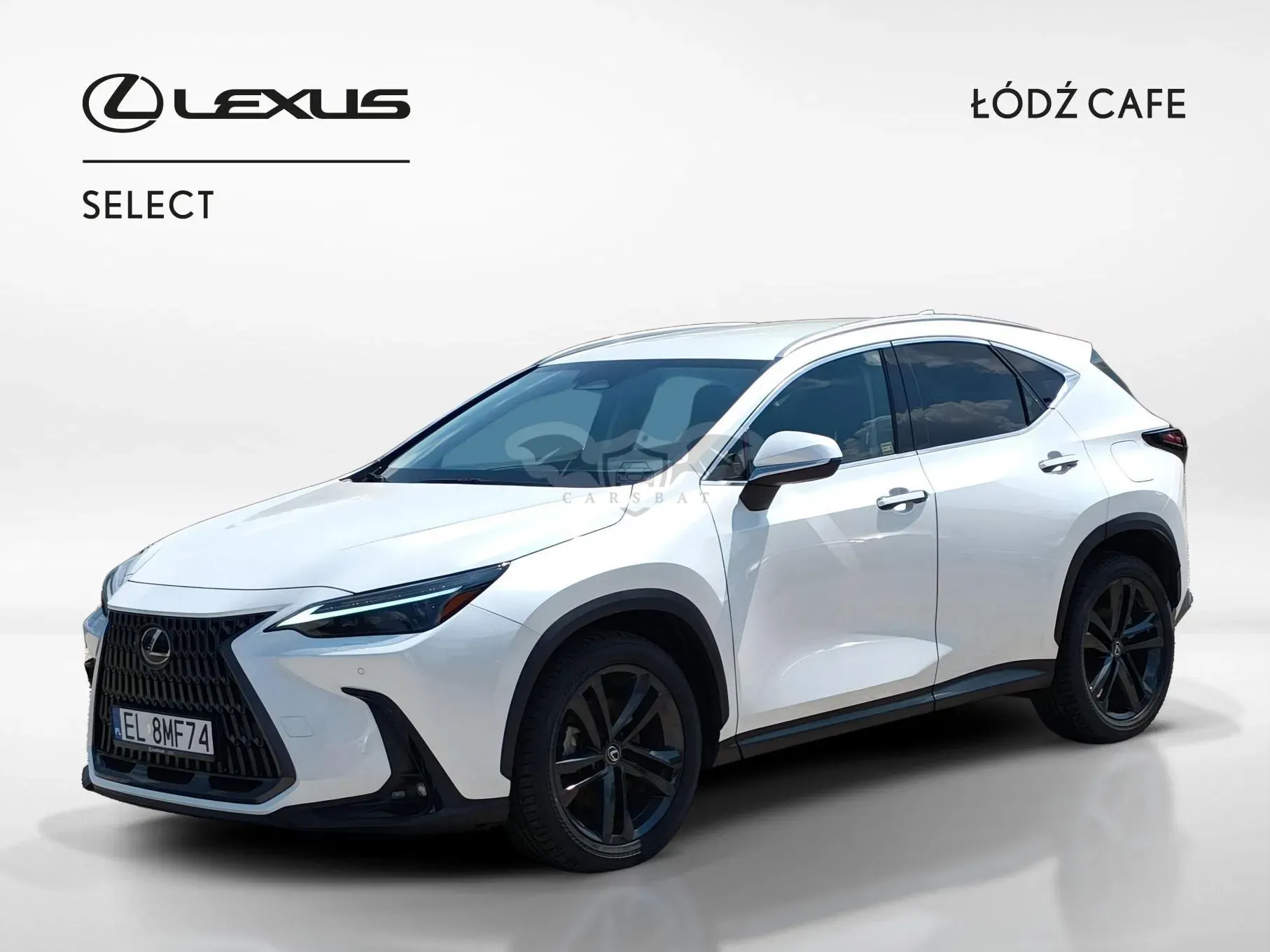 Lexus NX II (2021-) 2024