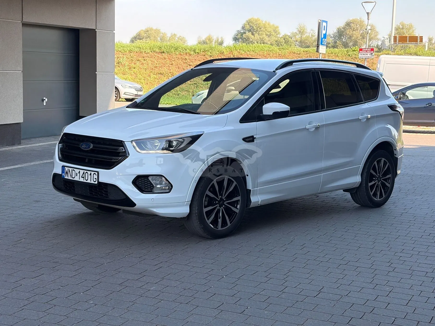 Ford Kuga III (2019 - ) 2019