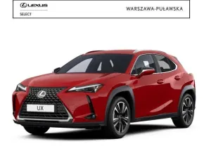 Lexus UX 300h Business 2024