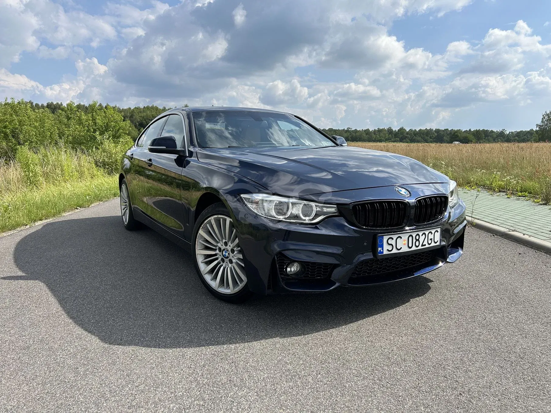 BMW 4 Series I F32/F33/F82 (2013-2020) 428i xDrive Luxury Line 2016