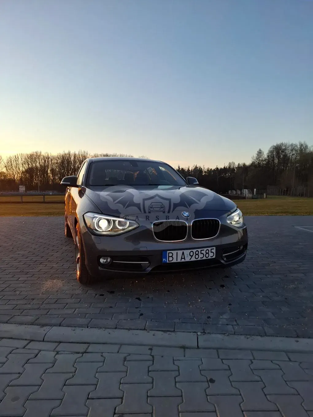 BMW 1 Series F20/F21 (2011-2019) 116d Sport Line 2012