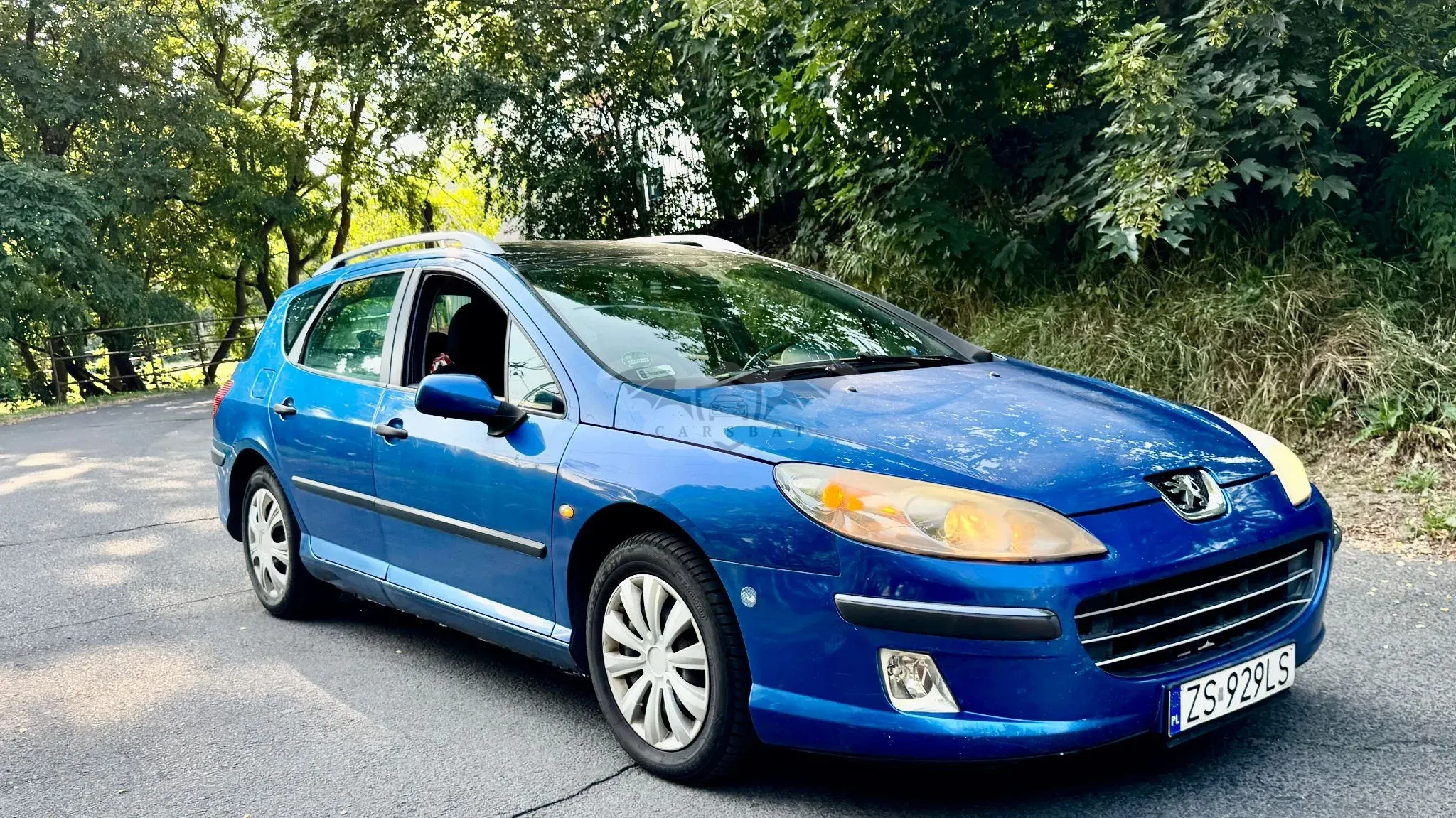 Peugeot 407 1.6 HDI Premium 2006