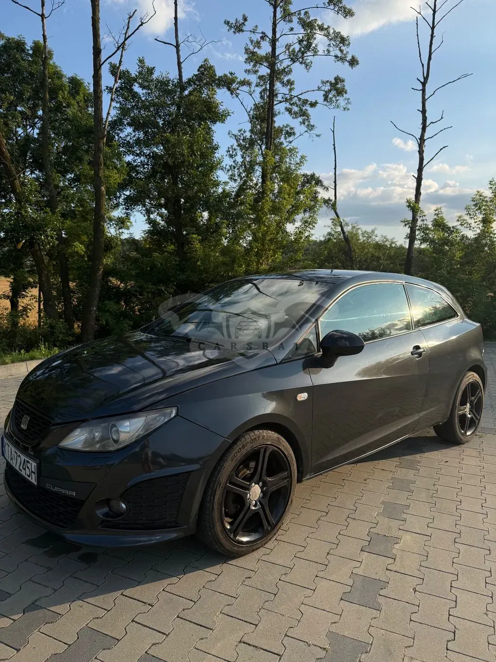 Seat Ibiza IV (2008-2017) 2010