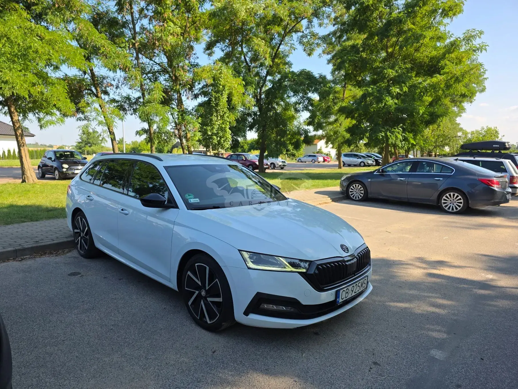 Skoda Octavia IV (2020-) 1.5 TSI ACT Sportline 2021
