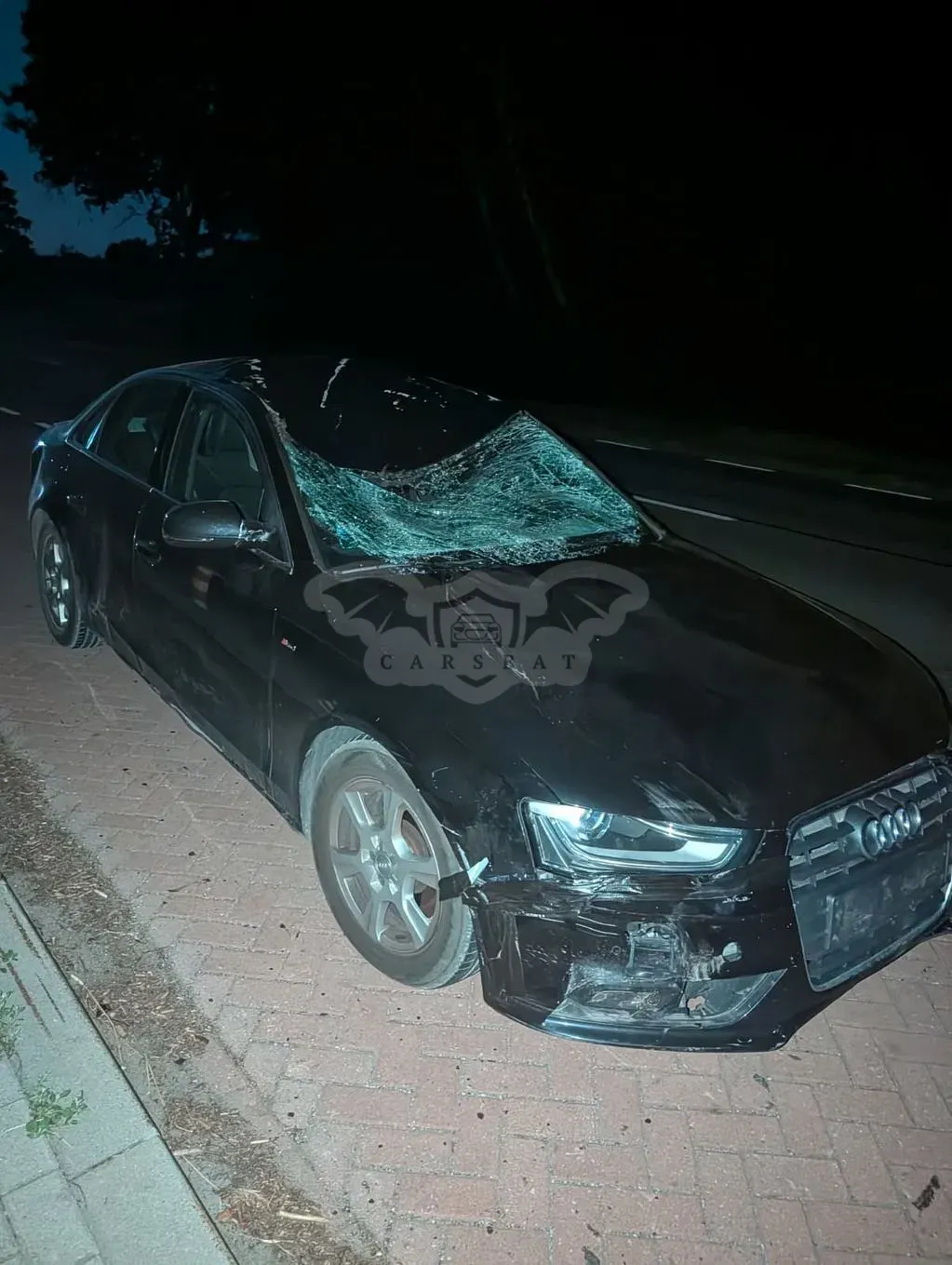 Audi A4 B8 (2007-2015) 2012