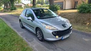 Peugeot 207 1.4 16V Trendy 2008