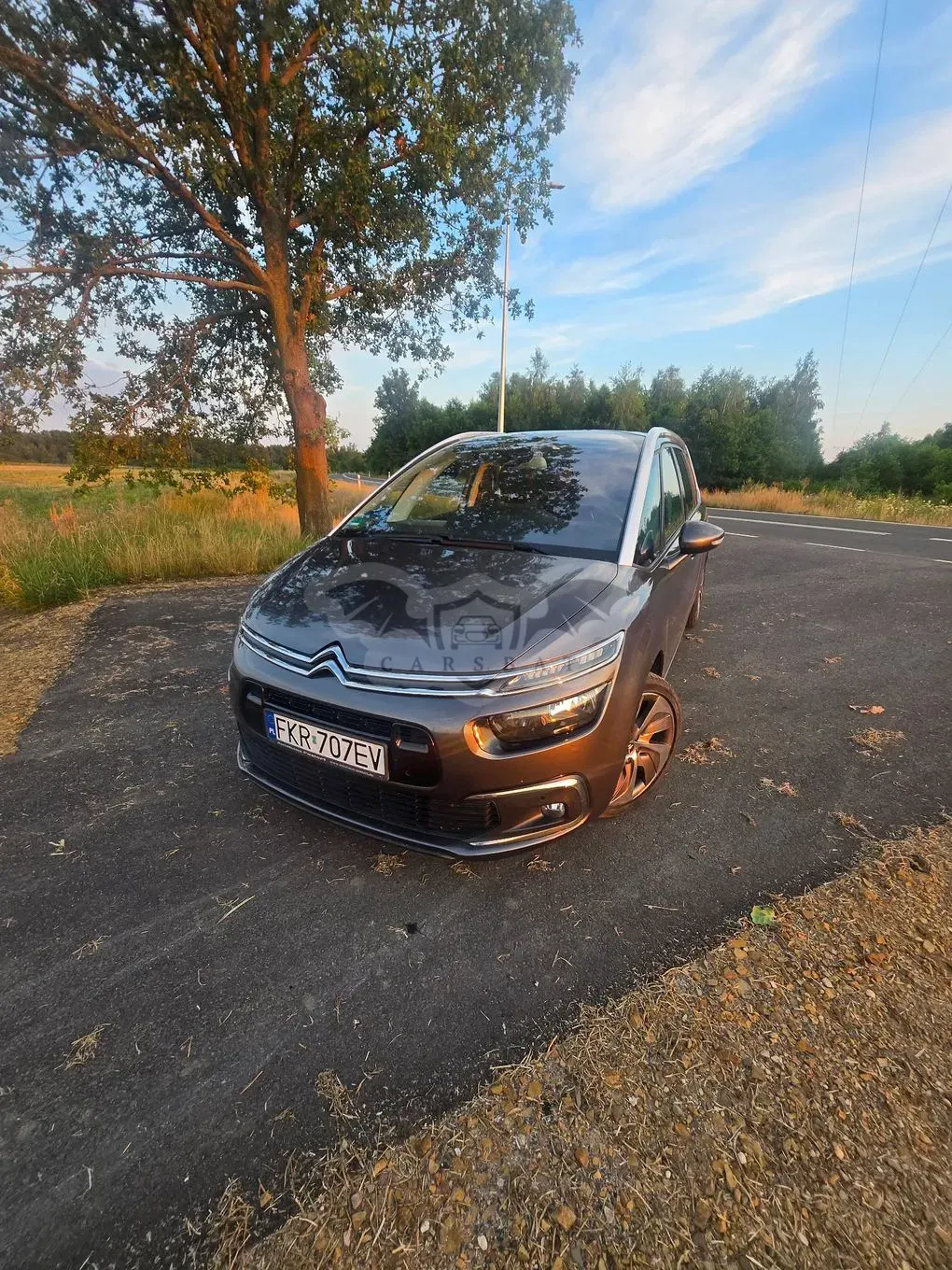 Citroën C4 Grand Picasso II (2013-) 1.6 BlueHDi Shine S&S EAT6 2017