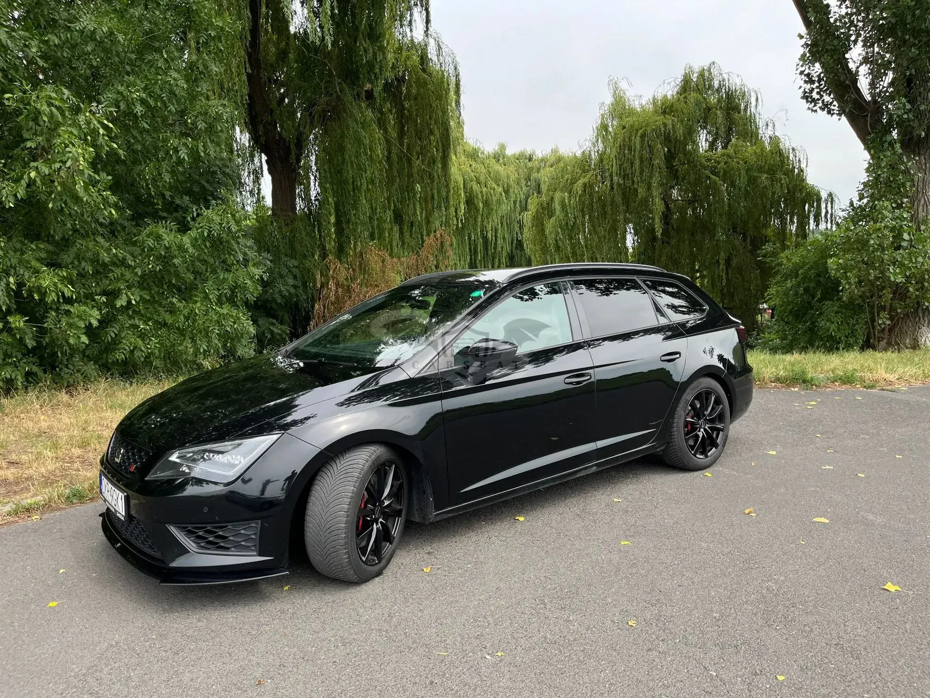 Seat Leon III (2012-) 2.0 TSI Cupra S&S DSG 2016