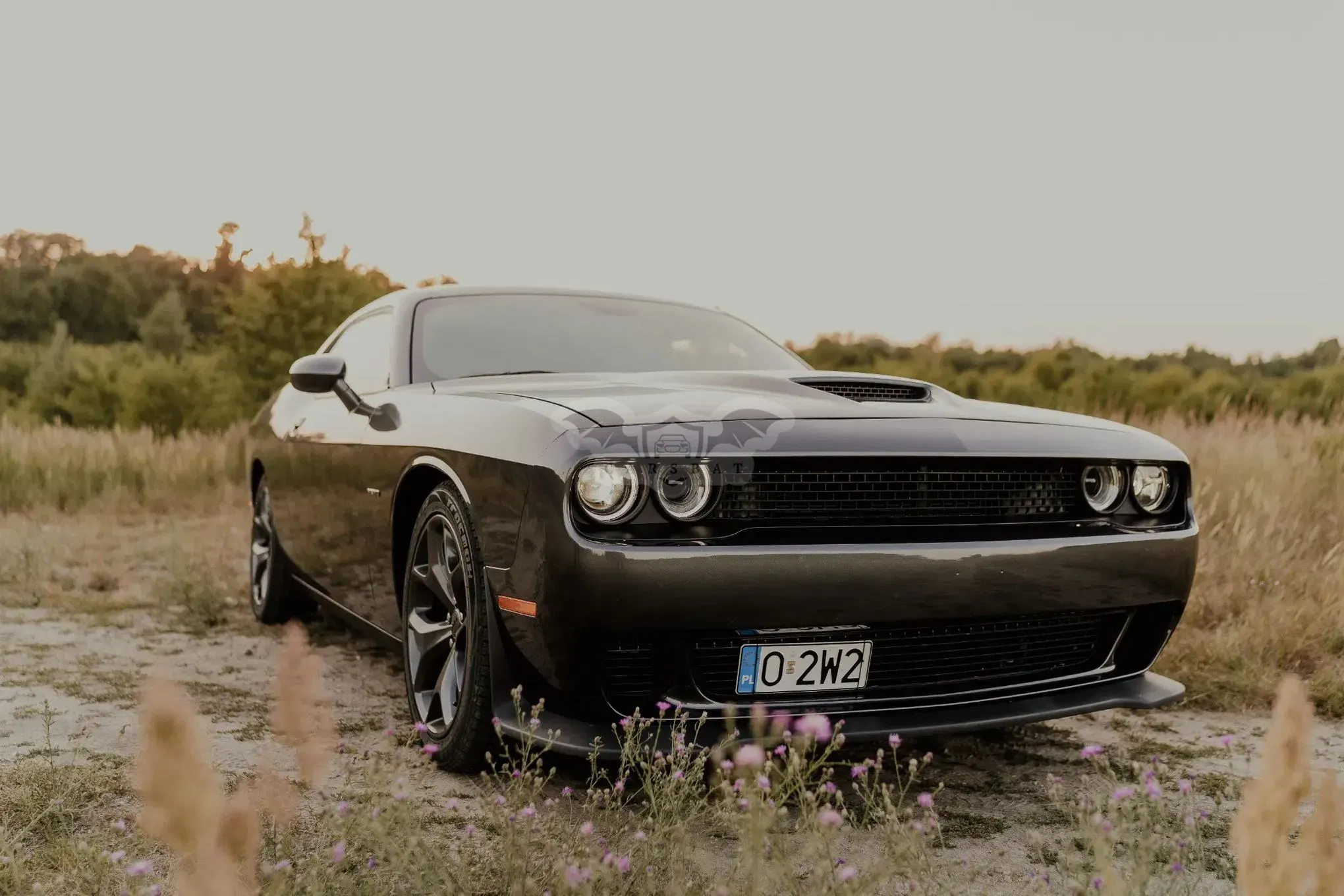 Dodge Challenger 5.7 R/T 2019