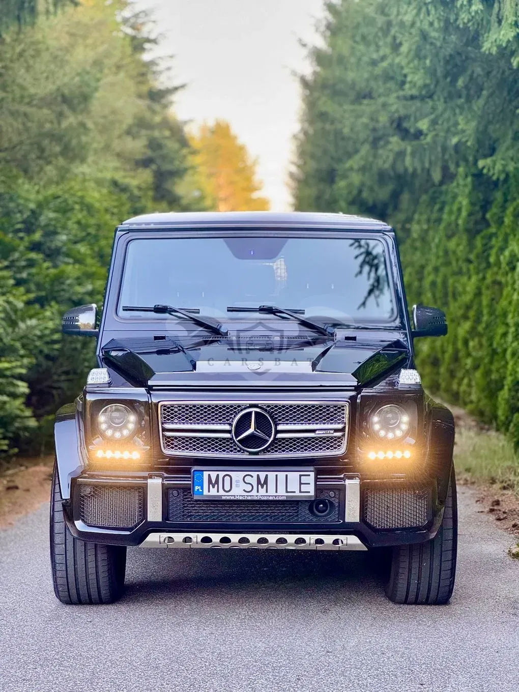 Mercedes-Benz G W463 (1989-2017) 2014