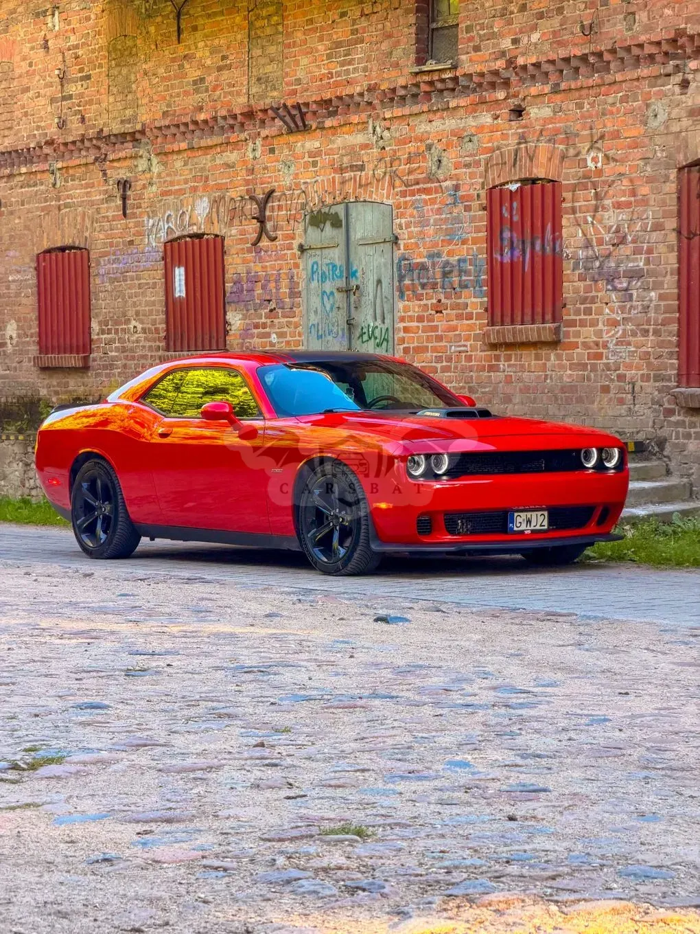 Dodge Challenger Automatik R/T Plus Shaker 2016