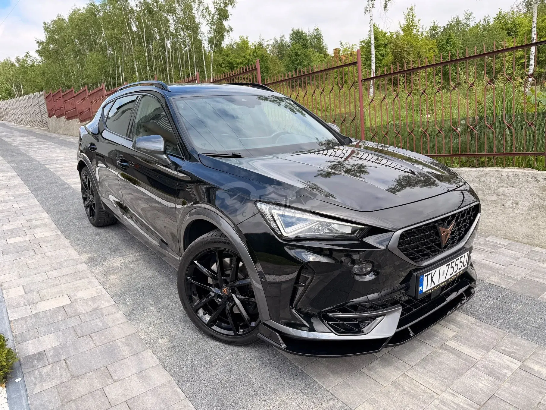 Cupra Formentor 2.0 TSI 4Drive VZ Tribe Edition DSG 2022