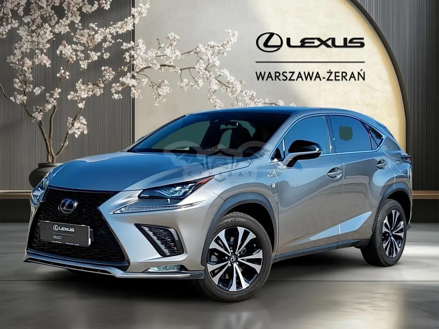 Lexus NX I (2014-2021) 300 GPF F Sport AWD 2019