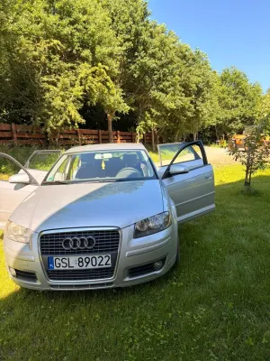 Audi A3 8P (2003-2012) 1.6 Ambition 2006