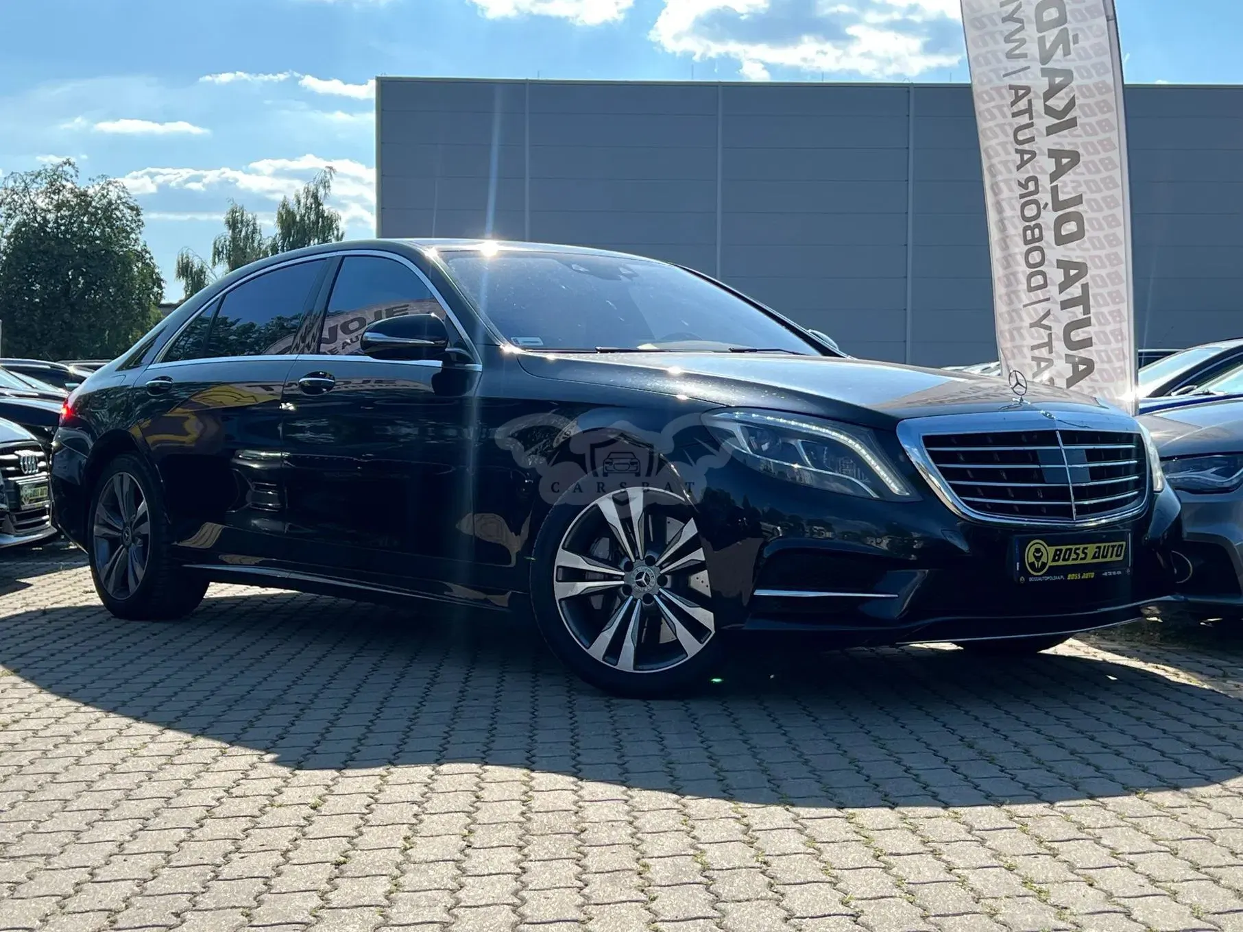 Mercedes-Benz S W222 (2013-2020) 2013