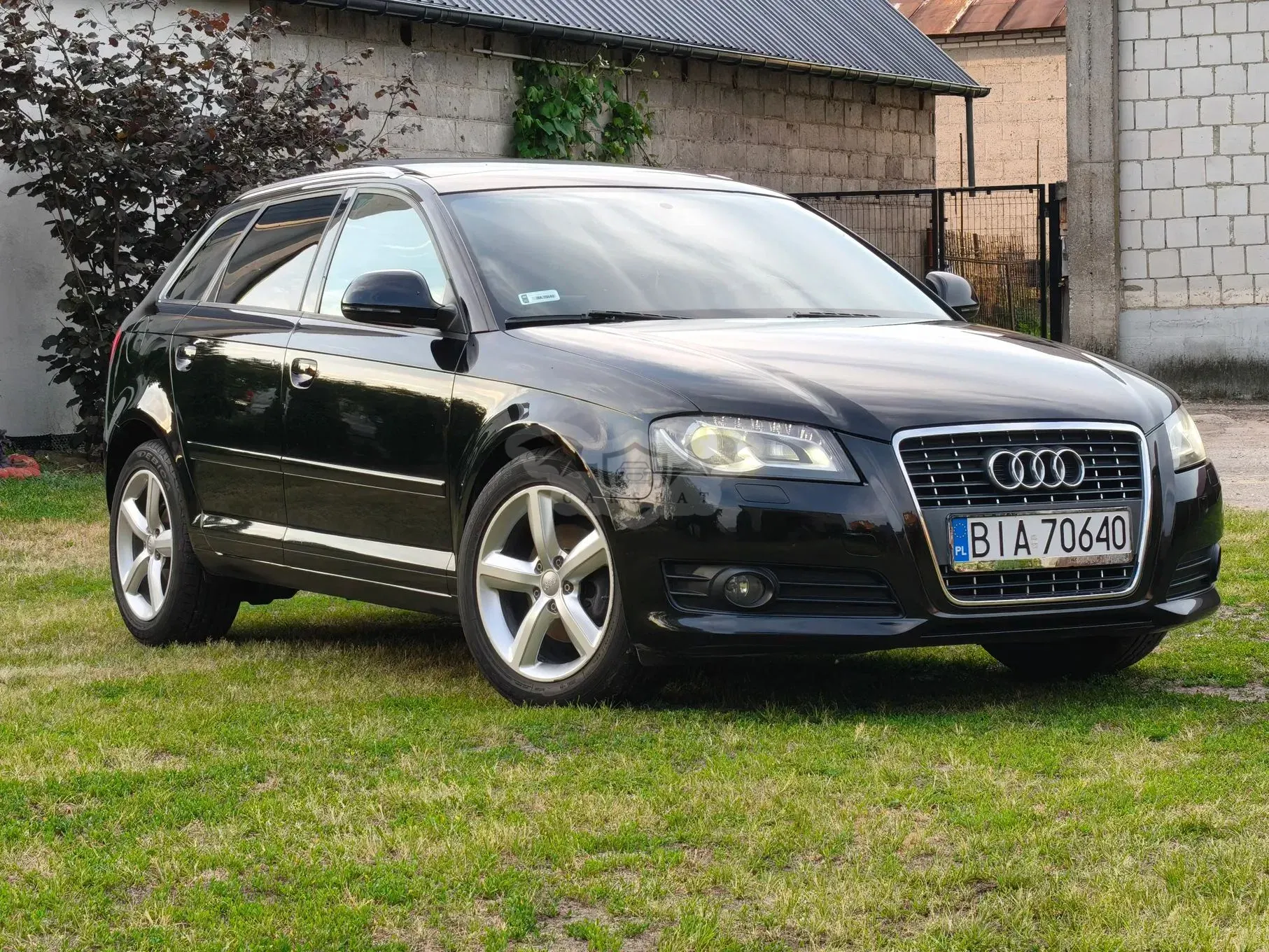 Audi A3 8P (2003-2012) 1.4 TFSI Ambition 2009