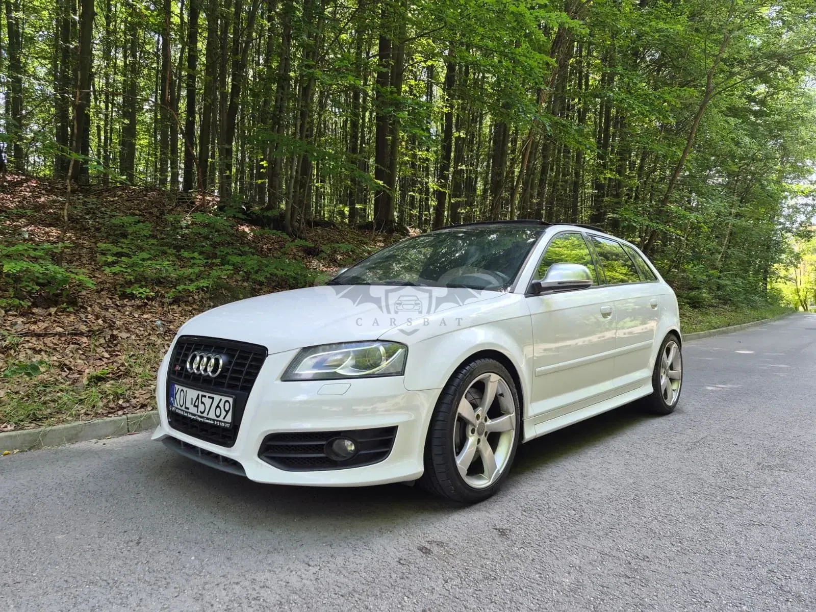 Audi S3 8P (2003-2012) 2.0 TFSI Quattro S tronic 2009