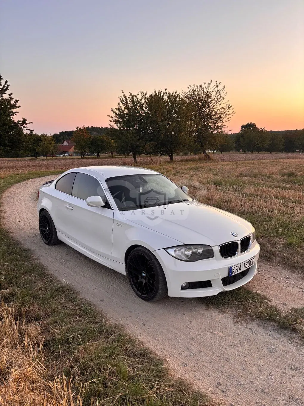 BMW 1 Series E81/E87 (2004-2013) 2010