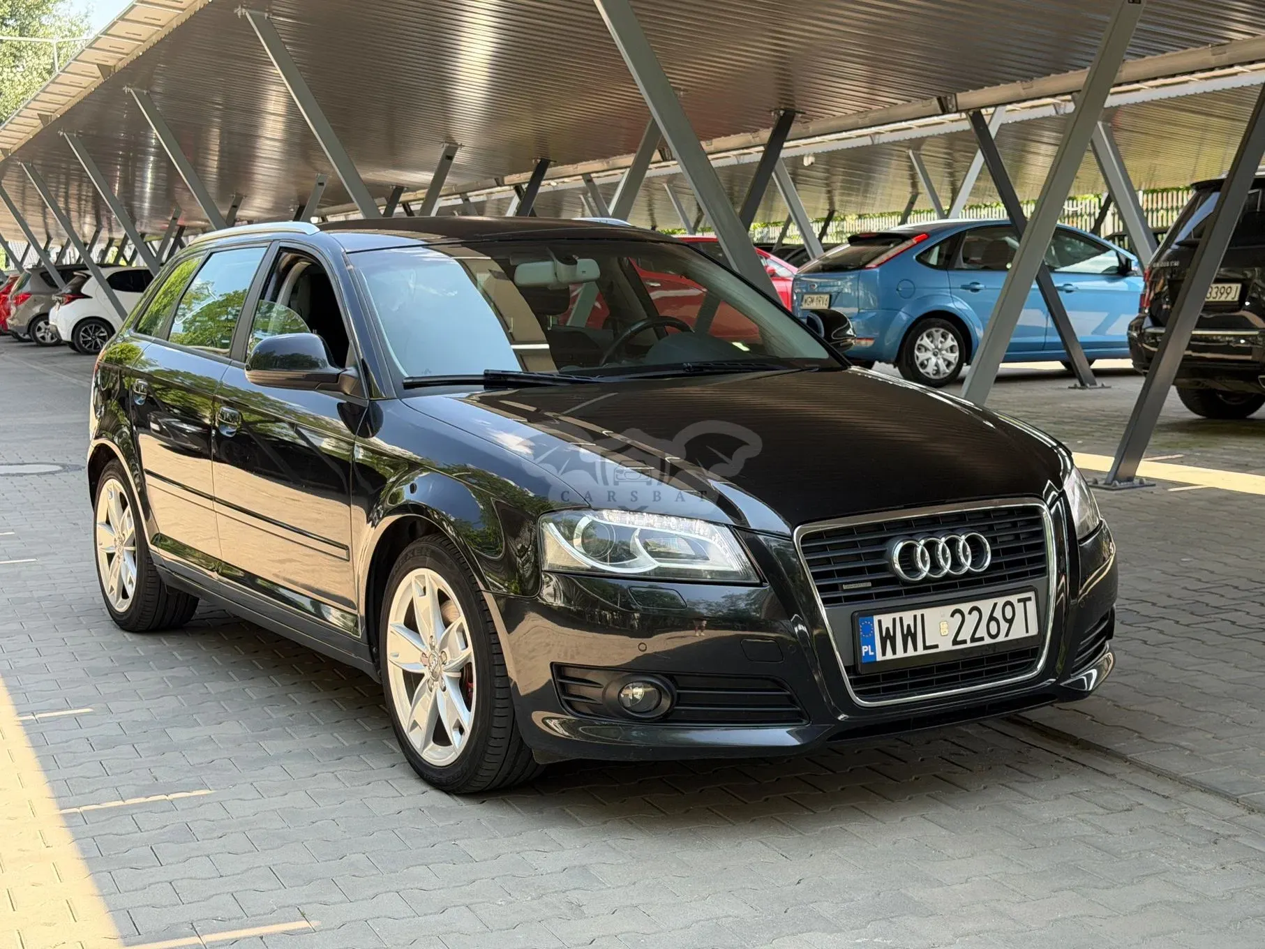 Audi A3 8P (2003-2012) 2010