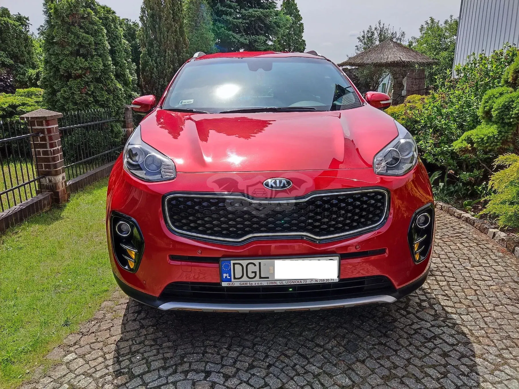 Kia Sportage IV (2016-2021) 1.6 T-GDI L Business Line Plus 4WD 2018