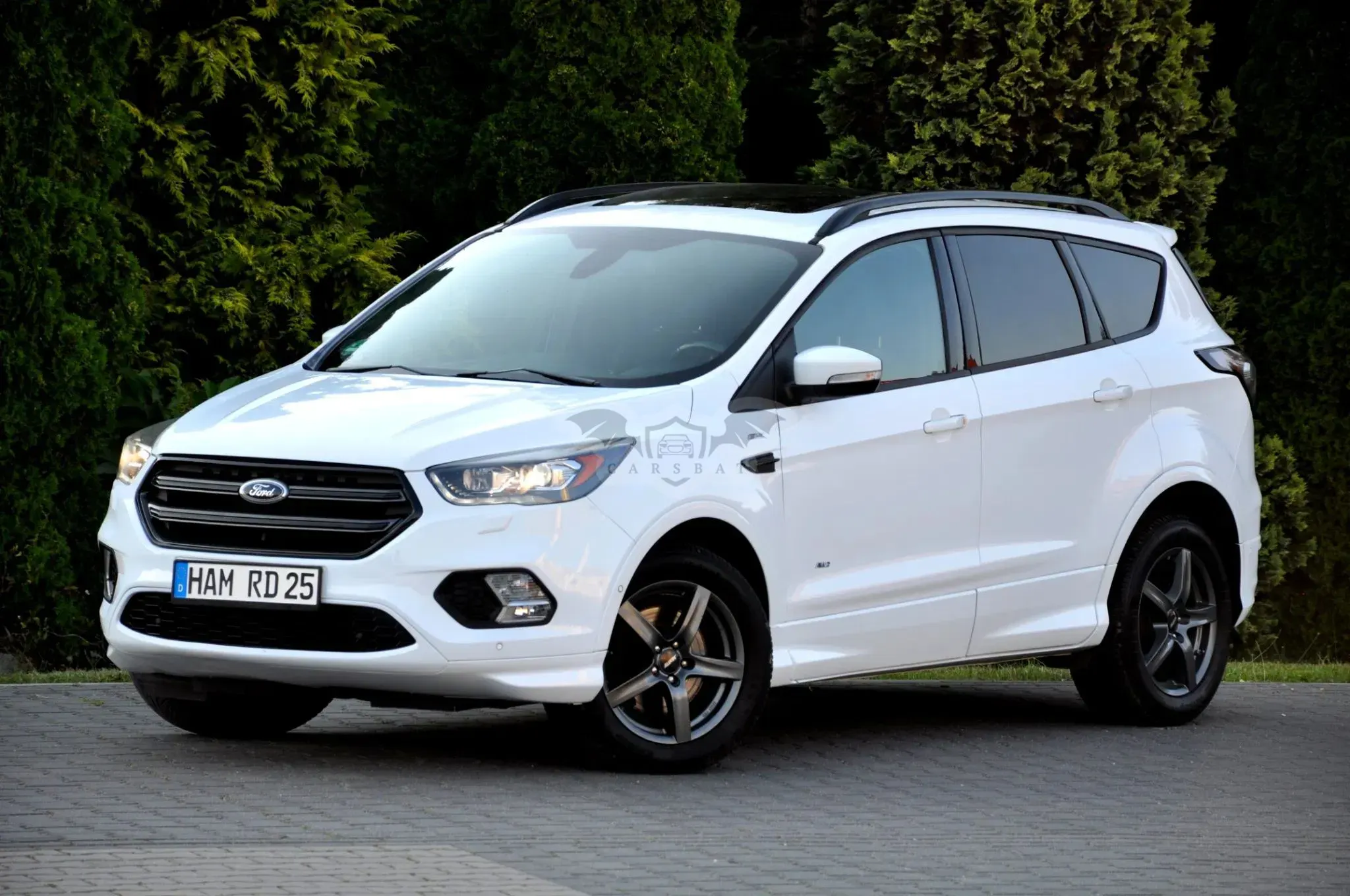 Ford Kuga II (2012-) 1.5 EcoBoost 4WD Titanium Plus 2017