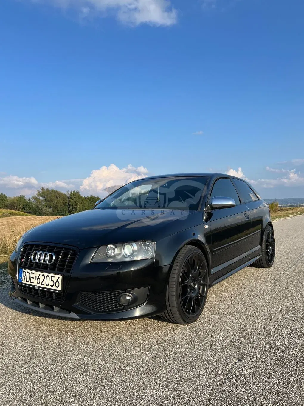 Audi S3 8P (2003-2012) 2.0 TFSI Quattro 2007