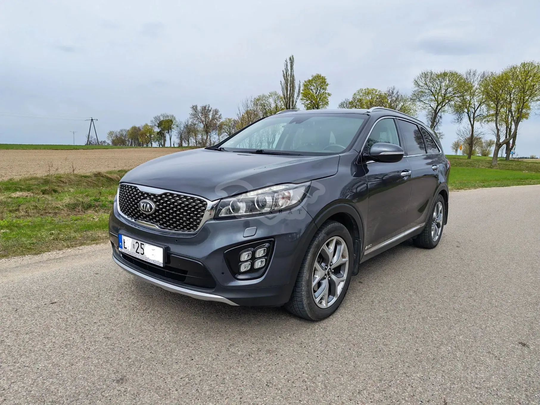 Kia Sorento III (2015-2020) 2.0 CRDI Business Line 2017