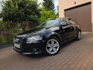 Audi A3 8P (2003-2012) 1.6 Ambition 2008