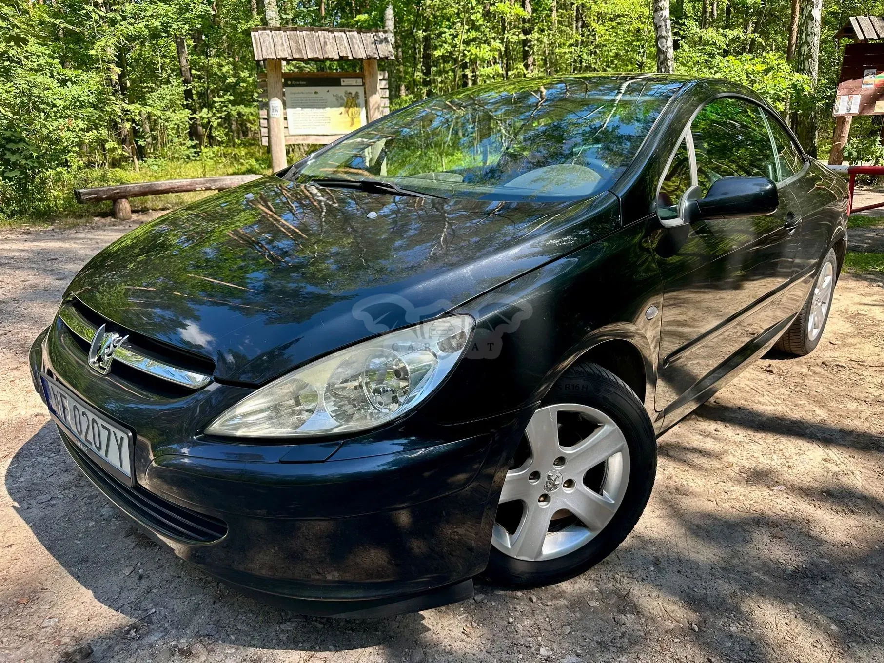 Peugeot 307 I (2001-2005) 2004