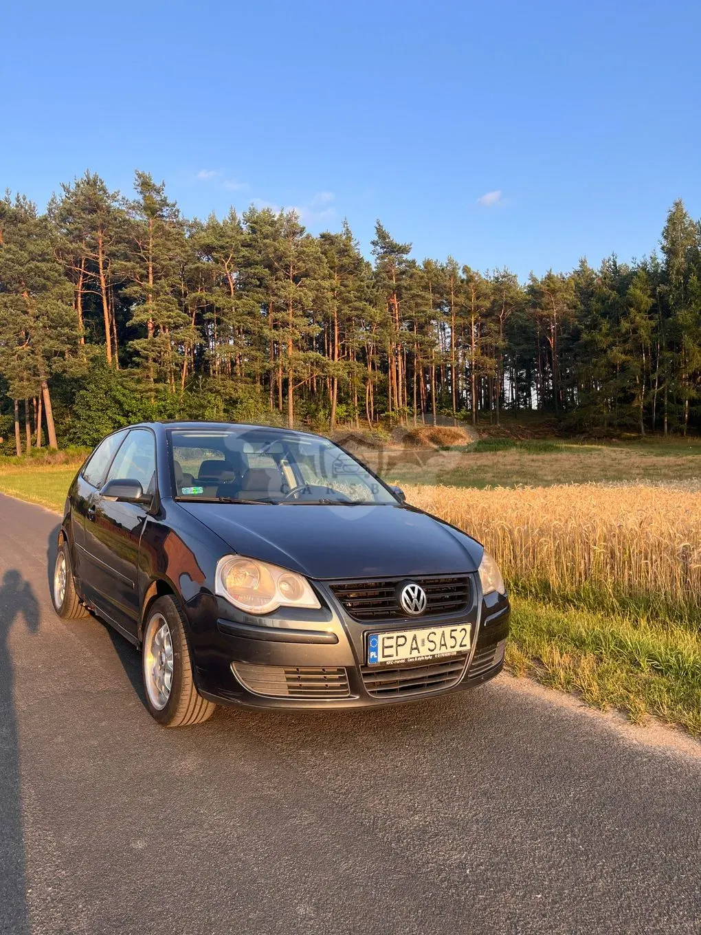 Volkswagen Polo IV (2001-2009) 1.4 16V Basis 2005