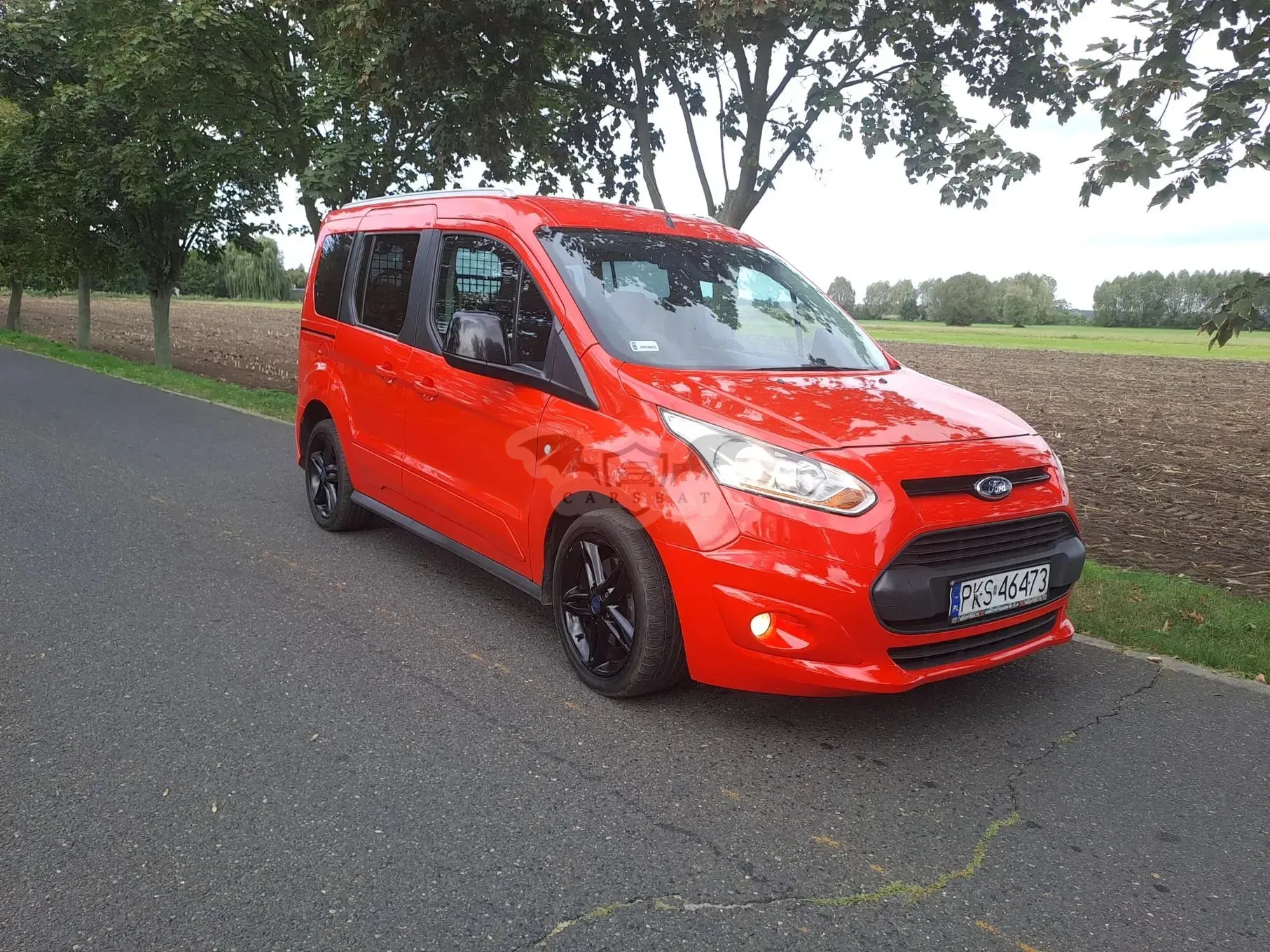Ford Transit Connect II (2013-) 2014
