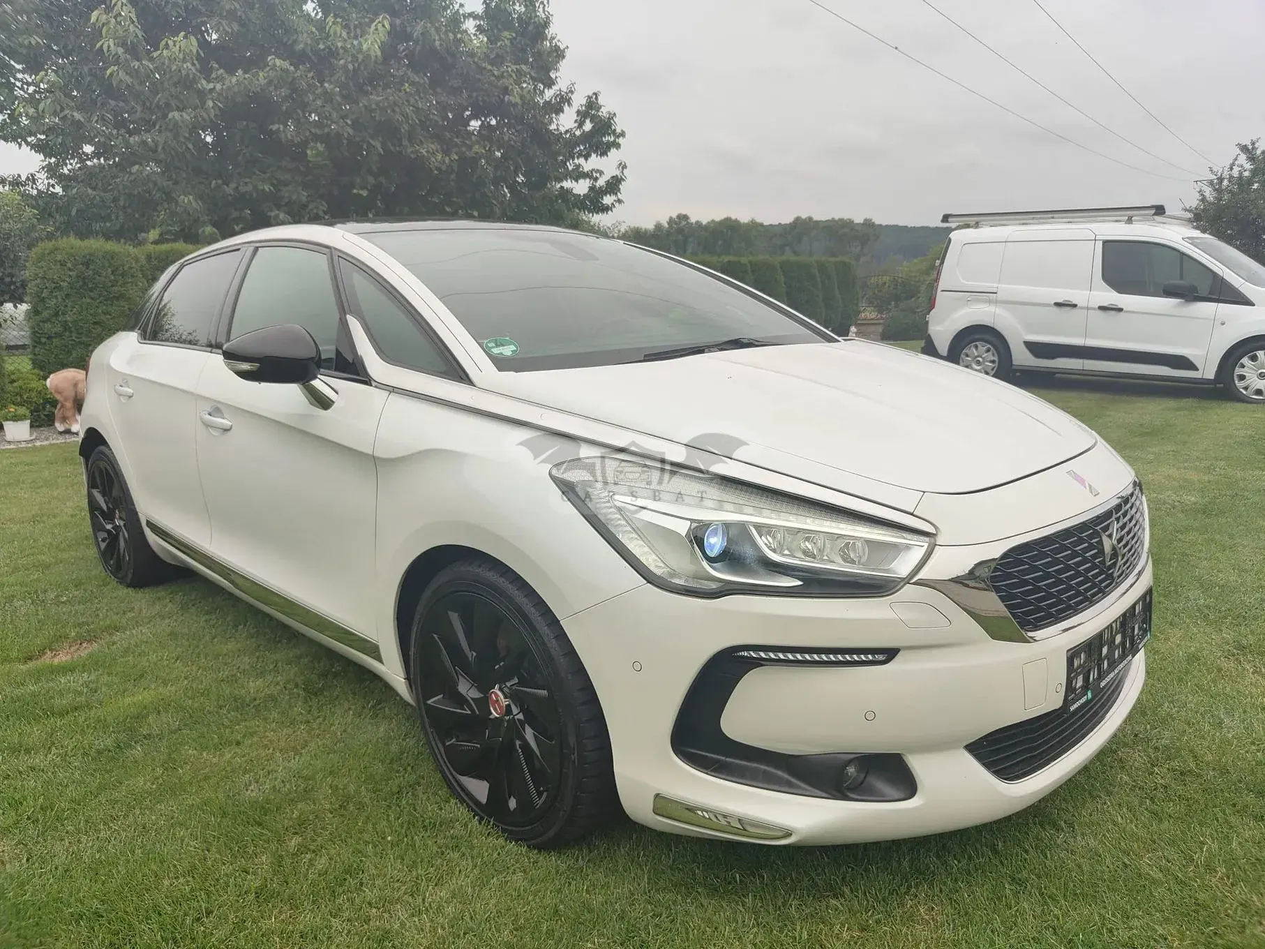 DS DS5 2017
