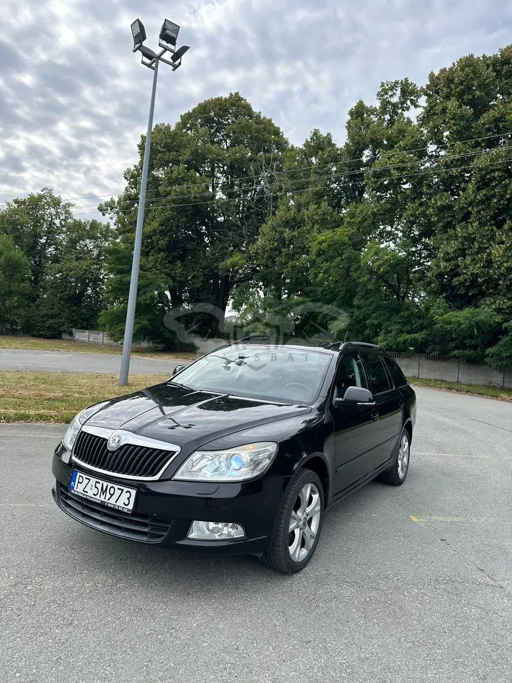 Skoda Octavia II (2004-2013) 1.8 TSI 4x4 Ambition 2010