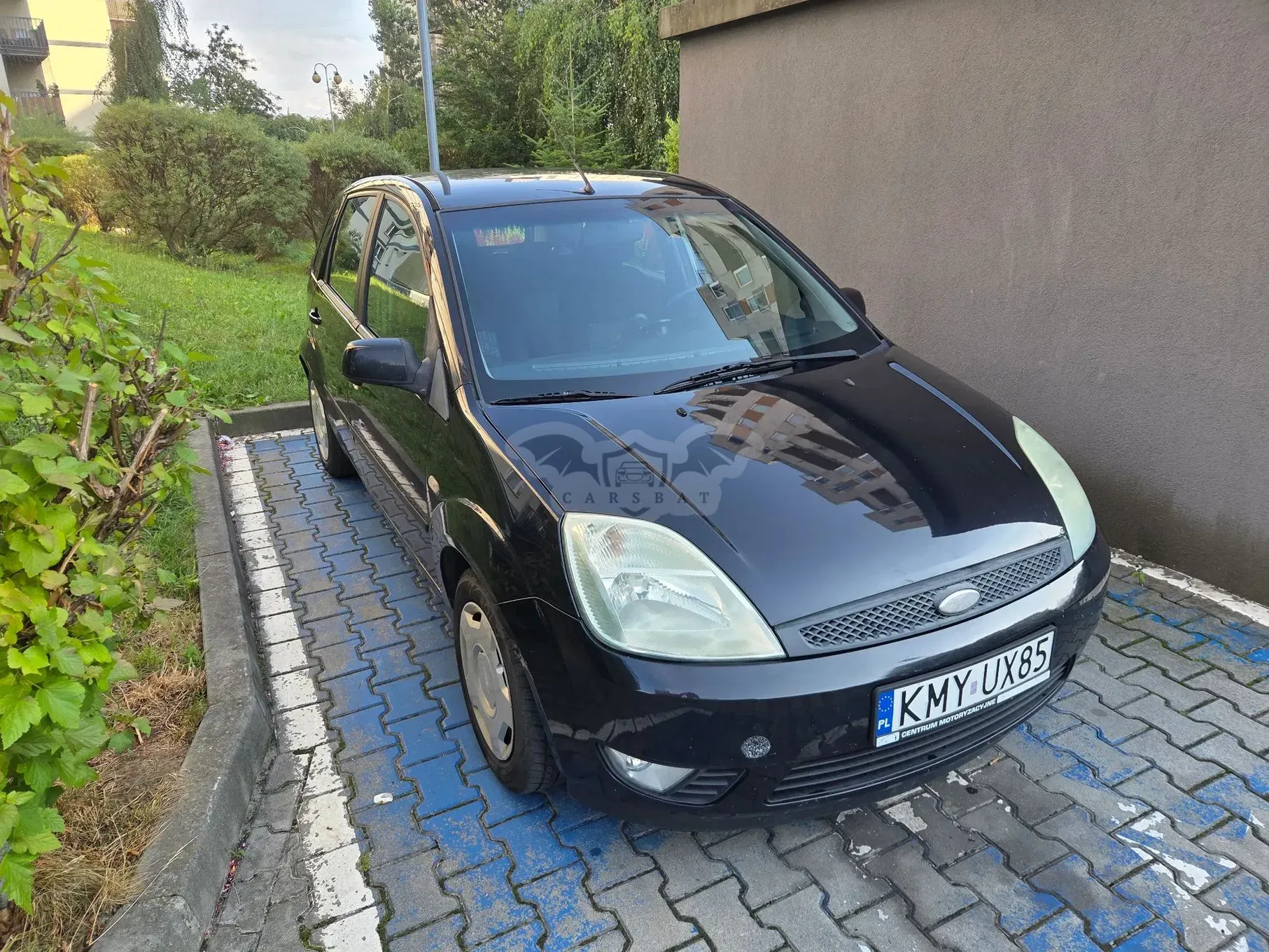 Ford Fiesta Mk6 (2002-2008) 1.25 2005