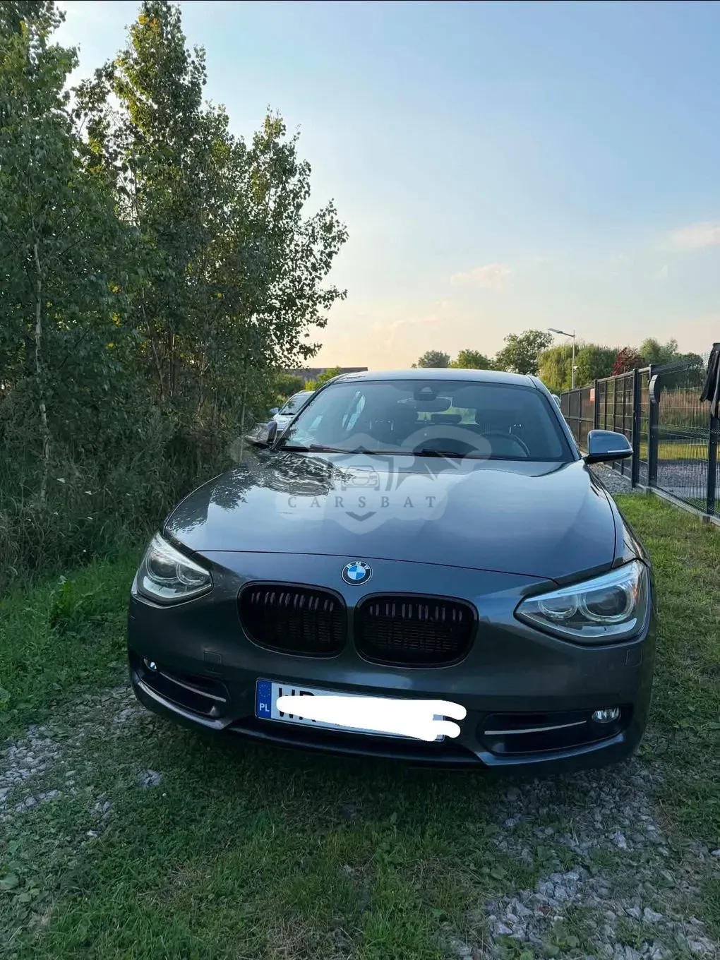 BMW 1 Series F20/F21 (2011-2019) 118i Sport Line 2012