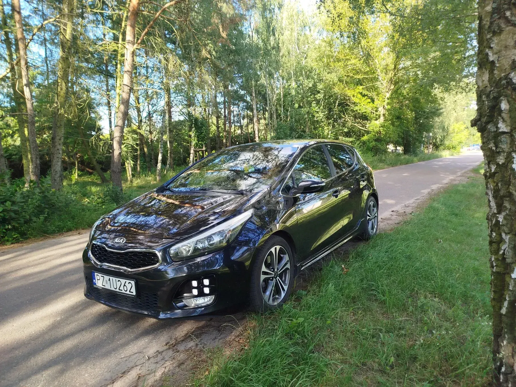 Kia Ceed II (2012-) 1.6 CRDi GT Line 2017