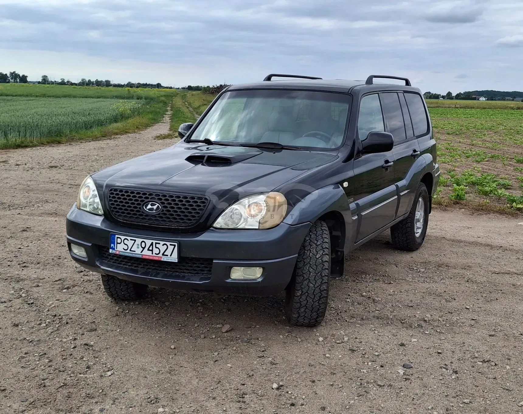 Hyundai Terracan 2004