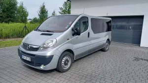 Opel Vivaro I (2001-2014) L2H1 2.9t 2013