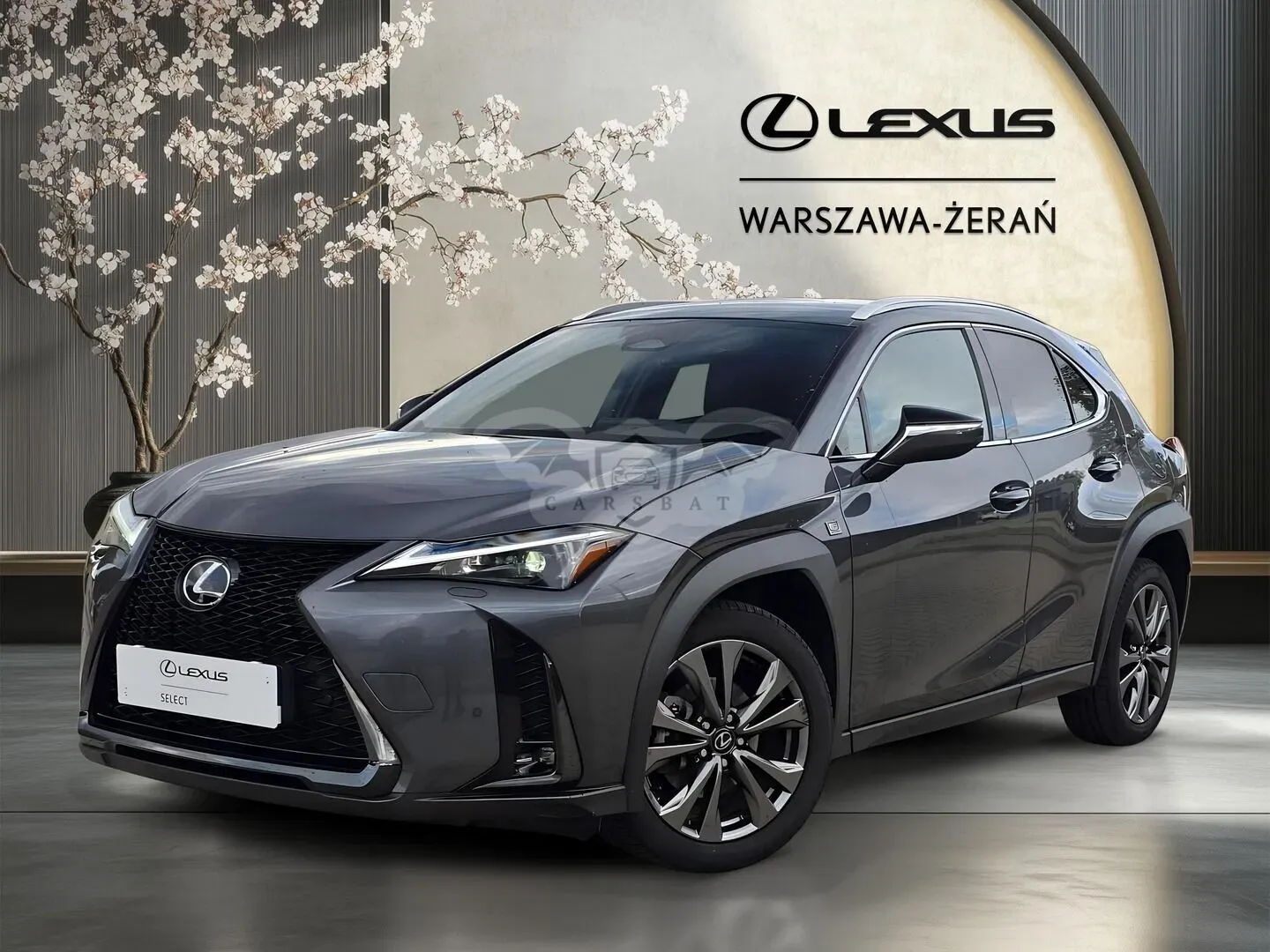 Lexus UX 300h F Sport Design 2024